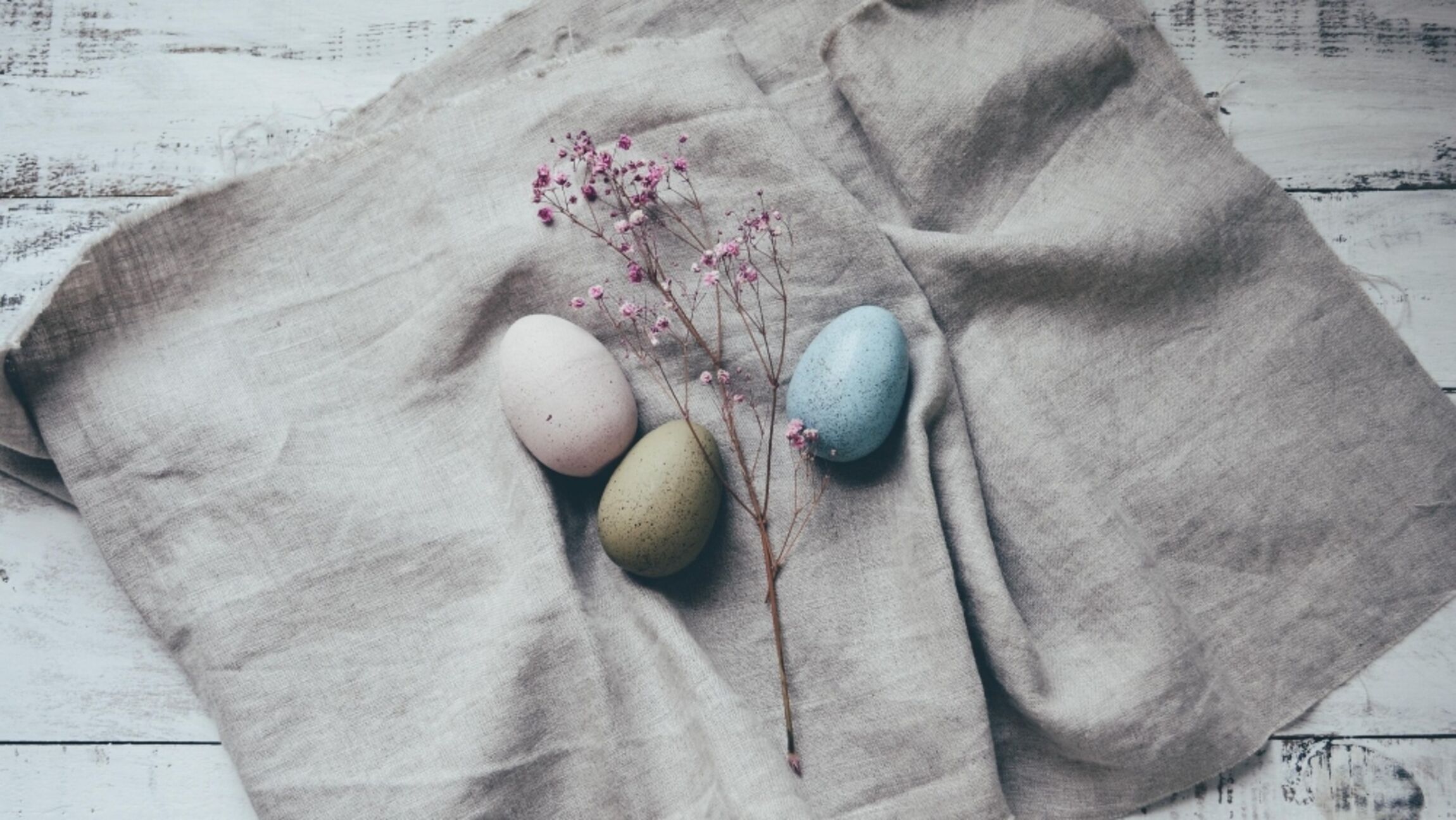 Foto: Deborah-Hudson-auf-Pixabay