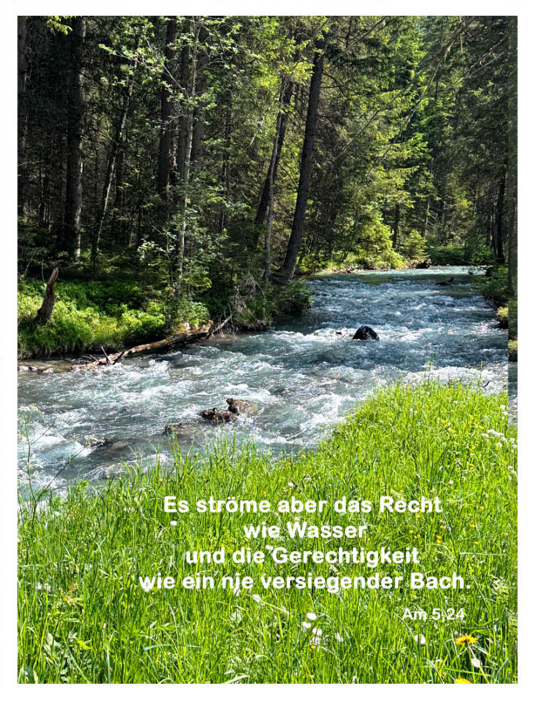Foto zum Monatsspruch Juli 2026 von Christa Hoppe: ein wild fließender Bach zwischen Wiese und Wald. Text des Spruches aus Amos 5,24: "Es ströme aber das Recht wie Wasser und die Gerechtigkeit wie ein nie versiegender Bach."