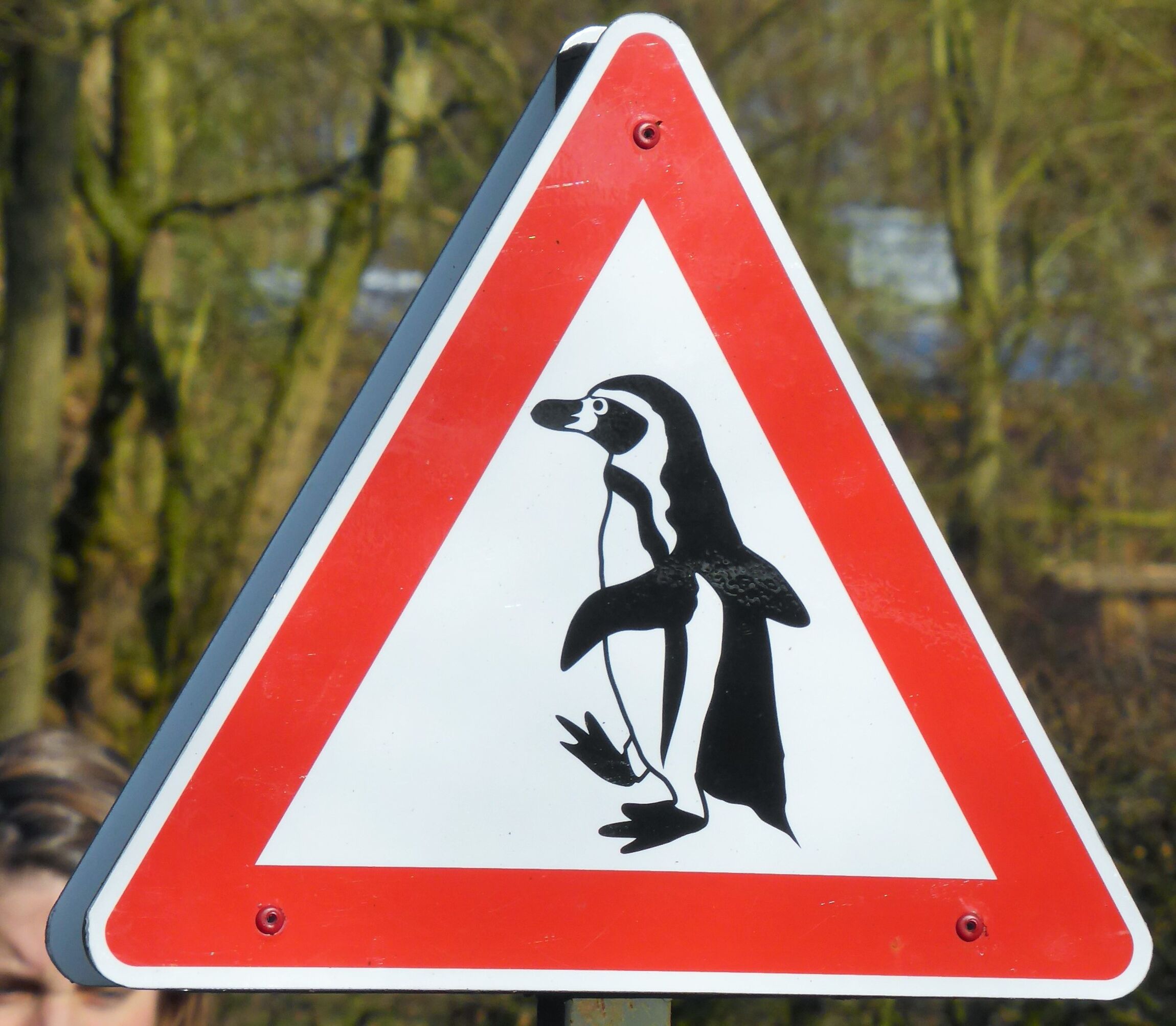 Verkehrsschild "Achtung Pinguine" 