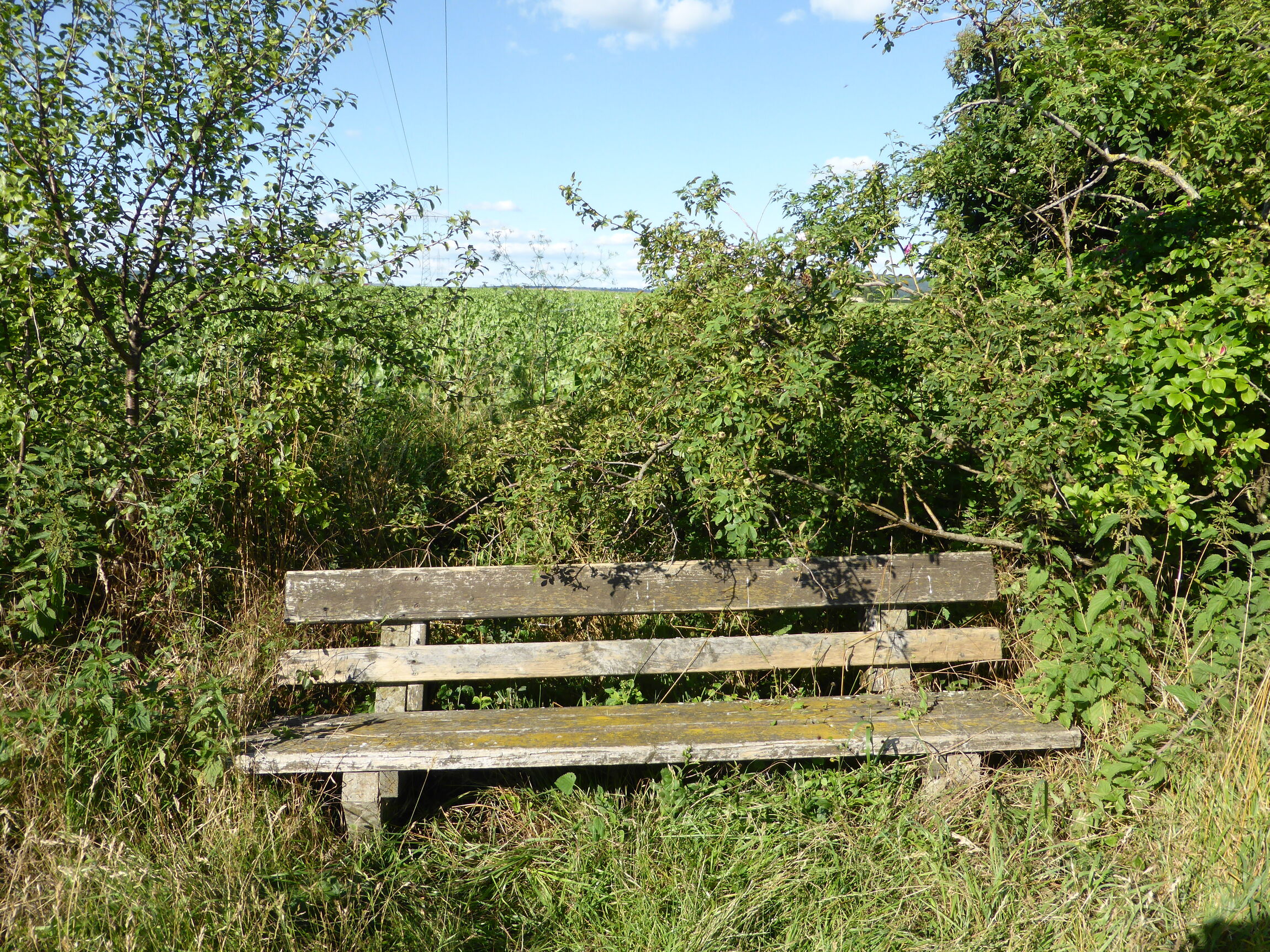Bank in der Feldmark