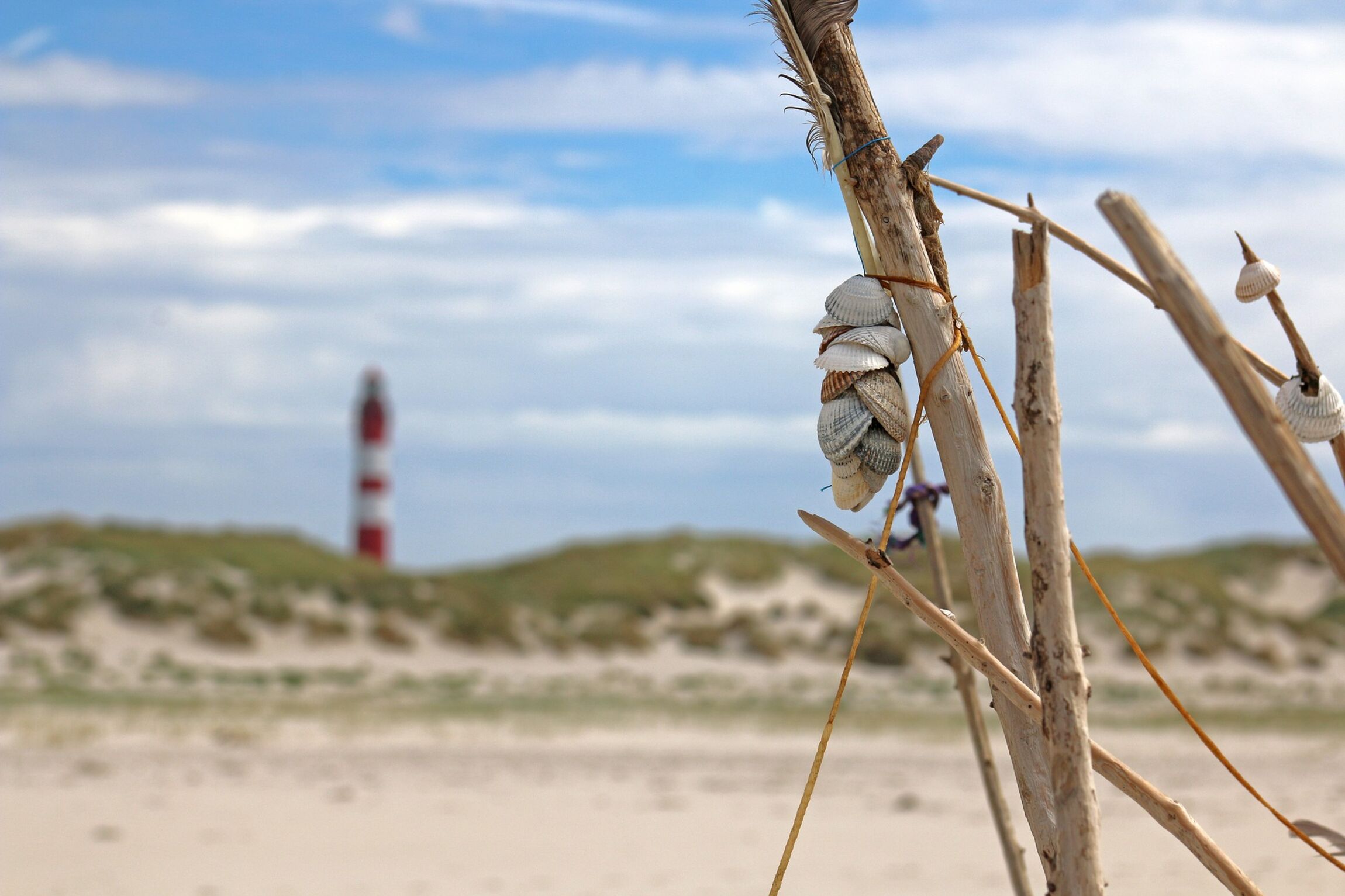 Strand mit Muscheln & Leuchtturm
