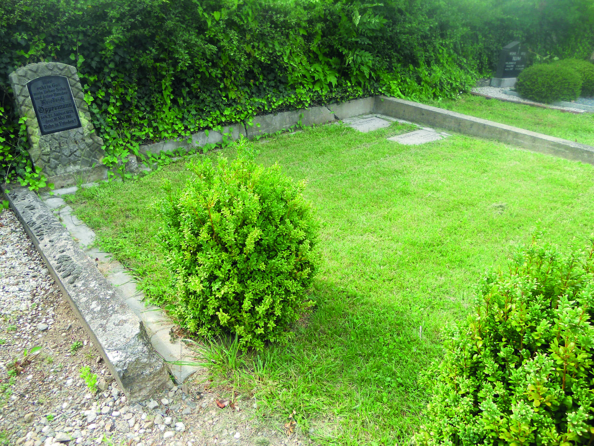 8. Wahlgrabstätte mit zwei Grabstellen für Urnen