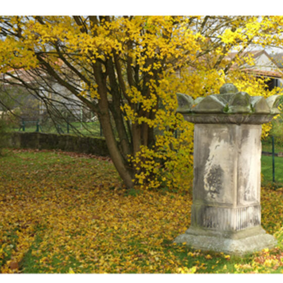 Kopfbild Kl Details.jpg; Foto: RSurendorff