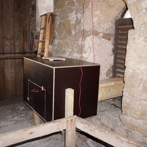 Eulenkasten im Kirchturm