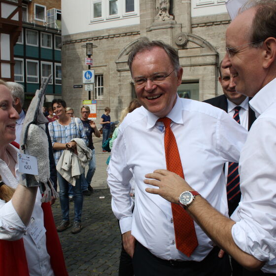 wiesel_elster_weil_meister