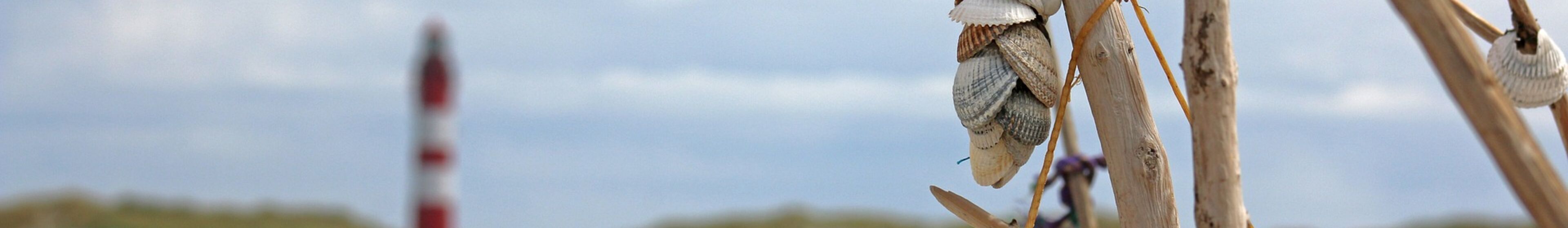 Strand mit Muscheln & Leuchtturm