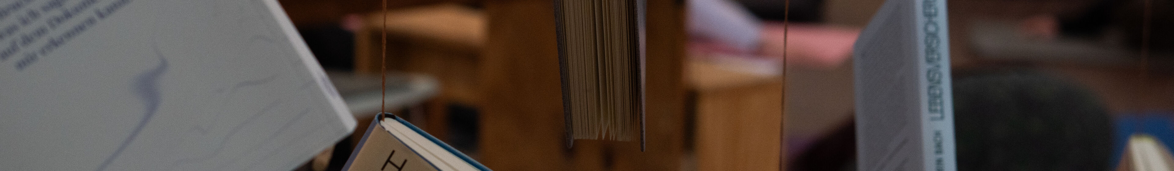 Literaturhaus hängende Bücher