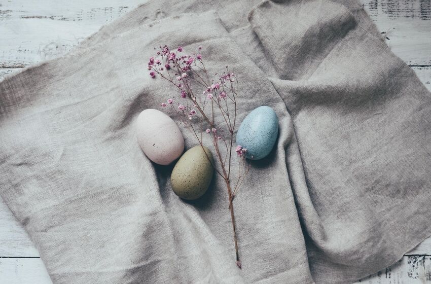 Foto: Deborah-Hudson-auf-Pixabay