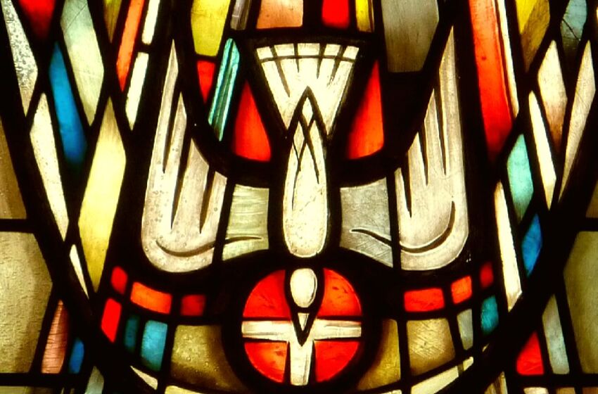 Taube- heiliger Geist