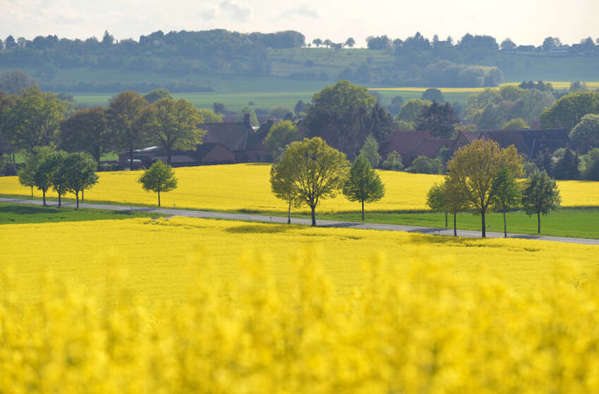 Landschaft im Frühling (Foto: Jens Schulze)