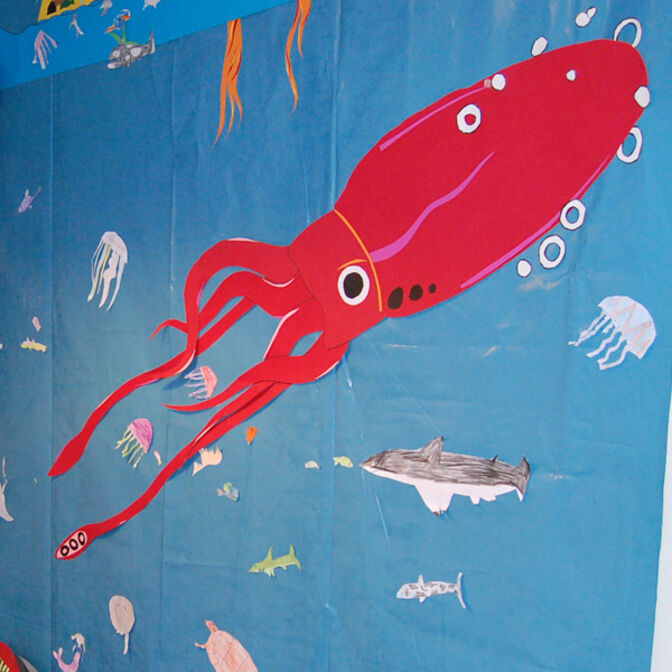 teaser_unterwasserwelt